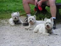 Klik op de foto voor groter formaat